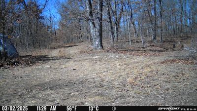 PICT0134.JPG