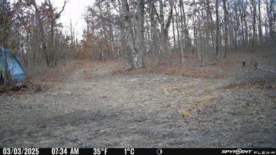 PICT0141.JPG