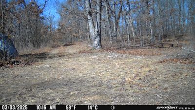 PICT0143.JPG
