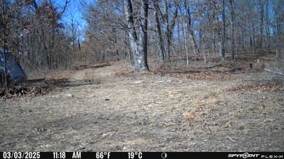 PICT0169.JPG