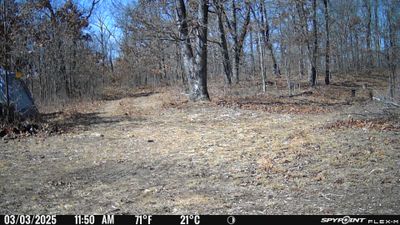 PICT0175.JPG