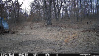 PICT0197.JPG