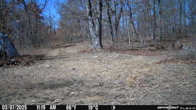 PICT0212.JPG