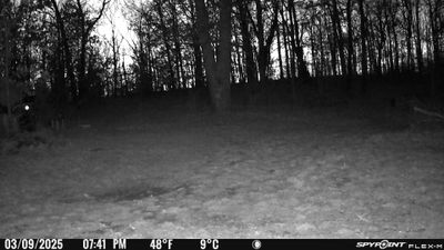 PICT0321.JPG