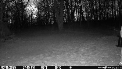 PICT0691.JPG