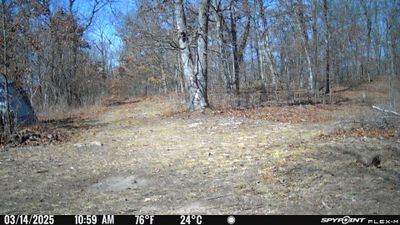 PICT0864.JPG