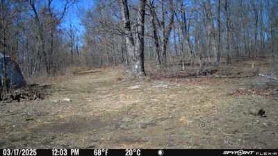 PICT0911.JPG