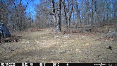 PICT0912.JPG