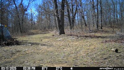 PICT0925.JPG