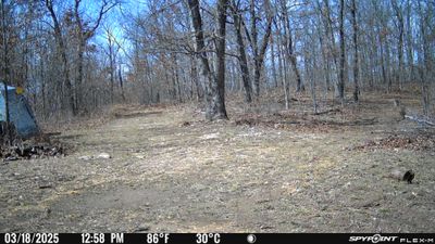 PICT0929.JPG