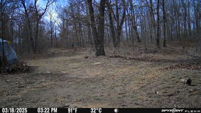 PICT0930.JPG