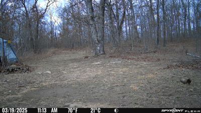 PICT0933.JPG
