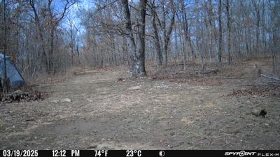 PICT0935.JPG