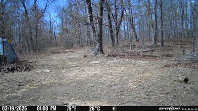 PICT0937.JPG