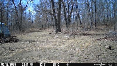 PICT0941.JPG