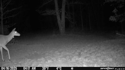 PICT1094.JPG
