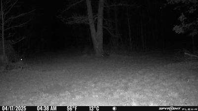 PICT1111.JPG