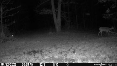 PICT1131.JPG