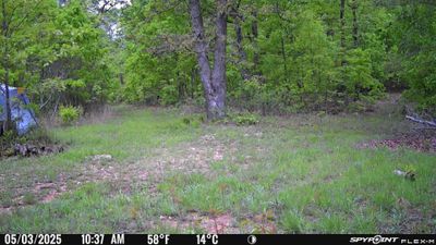 PICT1191.JPG