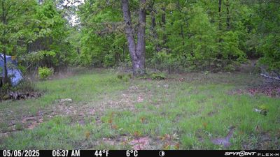 PICT1195.JPG
