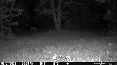 PICT1201.JPG