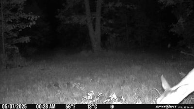 PICT1206.JPG