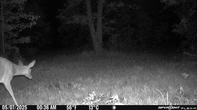 PICT1207.JPG