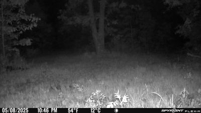 PICT1214.JPG