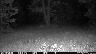 PICT1222.JPG