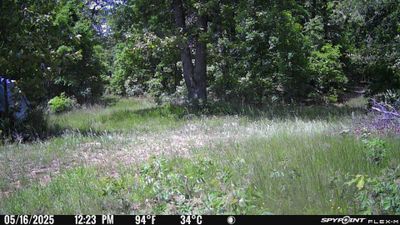 PICT1241.JPG
