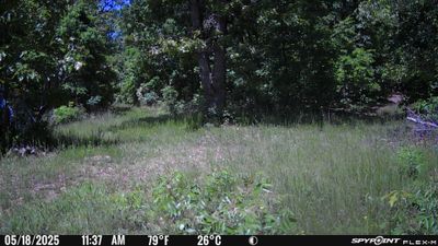 PICT1282.JPG