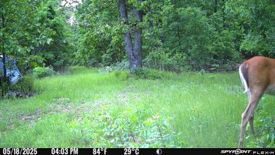 PICT1309.JPG