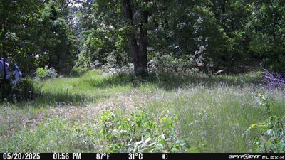 PICT1311.JPG