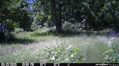 PICT1371.JPG