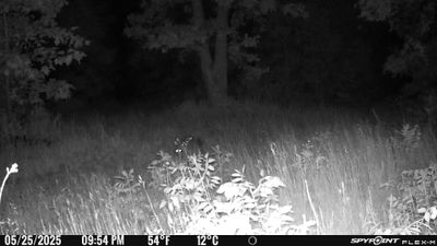 Cam1