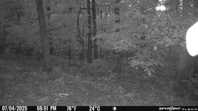 PICT1249.JPG