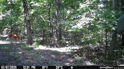 PICT1406.JPG