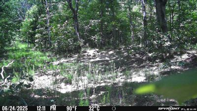 PICT0712.JPG