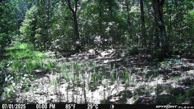 PICT1113.JPG