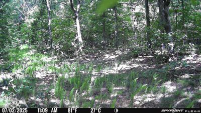 PICT1132.JPG