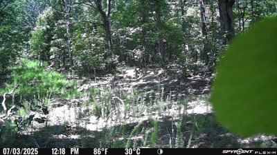 PICT1141.JPG