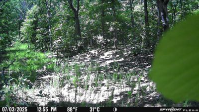 PICT1172.JPG