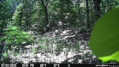 PICT1174.JPG