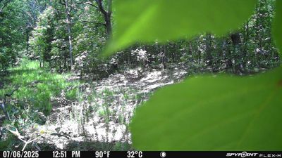 PICT1322.JPG