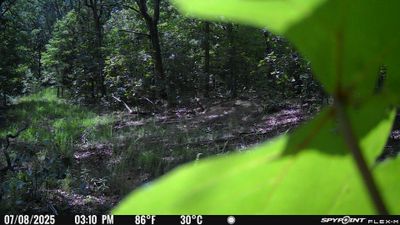 PICT1451.JPG
