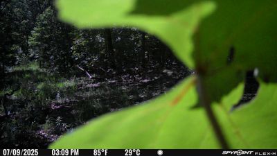 PICT1600.JPG