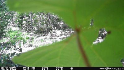 PICT1638.JPG