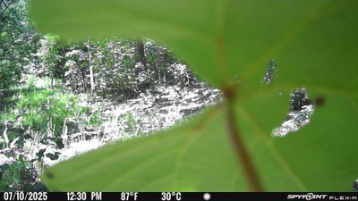 PICT1649.JPG