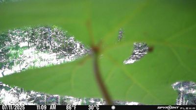 PICT1773.JPG