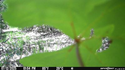PICT2042.JPG